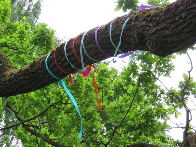 Tree decorated with ribbons, Riga, June 2015
